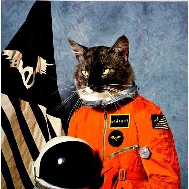 KLAXONS - SURFING THE VOID / RSD