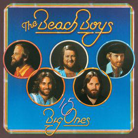 BEACH BOYS - 15 BIG ONES