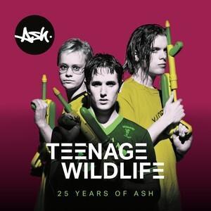 ASH - TEENAGE WILDLIFE: 25 YEARS OF ASH