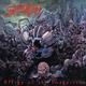SUFFOCATION - EFFIGY OF THE FORGOTTEN - 1/2