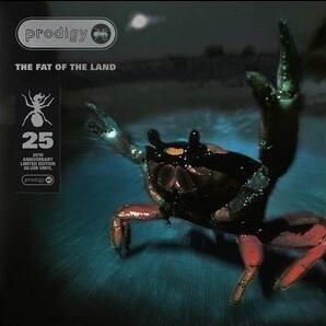 PRODIGY - FAT OF THE LAND 2LP / 25 ANNIVERSARY / SILVER VINYL - 1