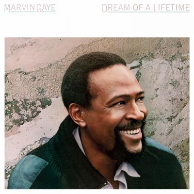 GAYE MARVIN - DREAM OF A LIFETIME - 1