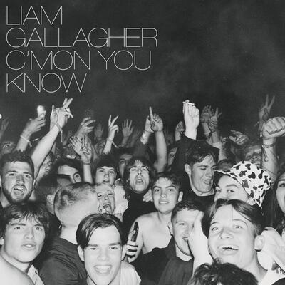 GALLAGHER LIAM - C'MON YOU KNOW / CD