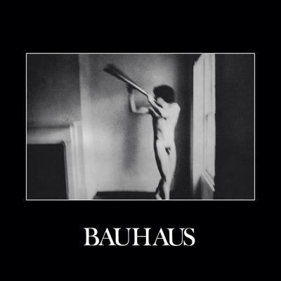 BAUHAUS - IN THE FLAT FIELD - 1