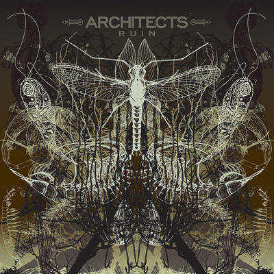 ARCHITECTS - RUIN
