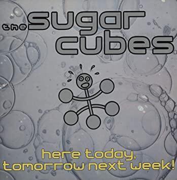 SUGARCUBES - HERE TODAY, TOMORROW NEXT WEEK!