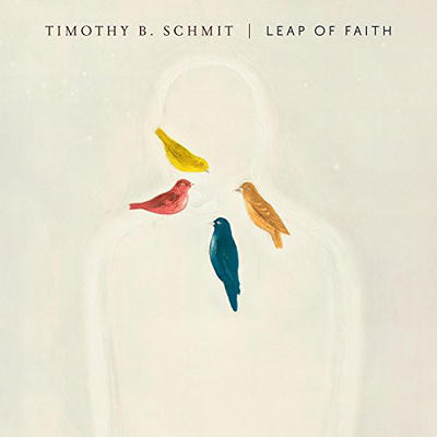 SCHMIT TIMOTHY B. - LEAP OF FAITH