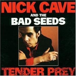 CAVE NICK & THE BAD SEEDS - TENDER PRAY