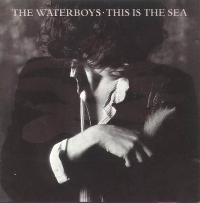 WATERBOYS - THIS IS SEA