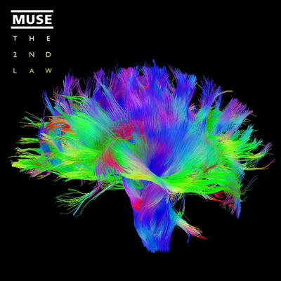 MUSE - 2ND LOW
