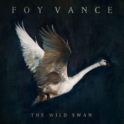 FOY VANCE - WILD SWAN
