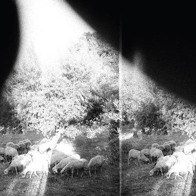 GODSPEED YOU! BLACK EMPEROR - ASUNDER, SWEET AND OTHER DISTRES