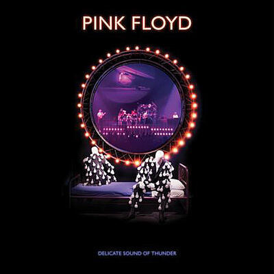 PINK FLOYD - DELICATE SOUND OF THUNDER / 2CD