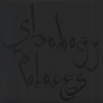 SHABAZZ PALACES - BLACK UP