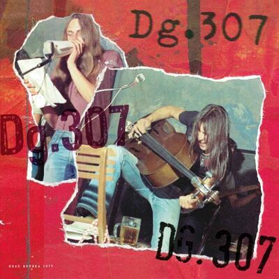 DG 307 - HRAD HOUSKA 1975