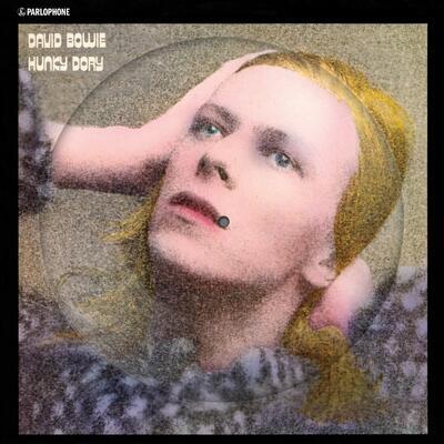 BOWIE DAVID - HUNKY DORY / PICTURE DISC