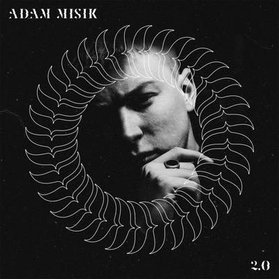 MIŠÍK ADAM - 2.0 / CD