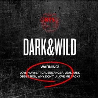 BTS - DARK & WILD / CD BOX - 1
